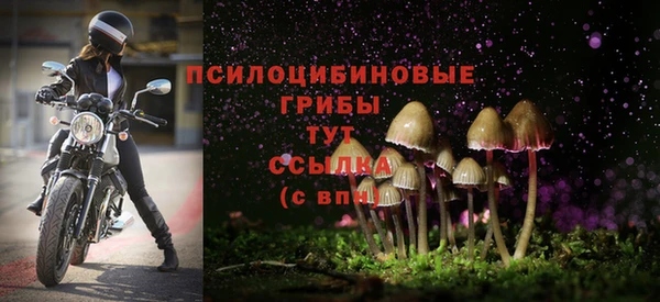 тгк Михайловка