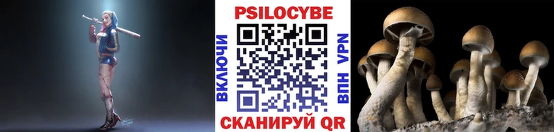 Псилоцибиновые грибы MAGIC MUSHROOMS  купить наркотики цена  Цимлянск 